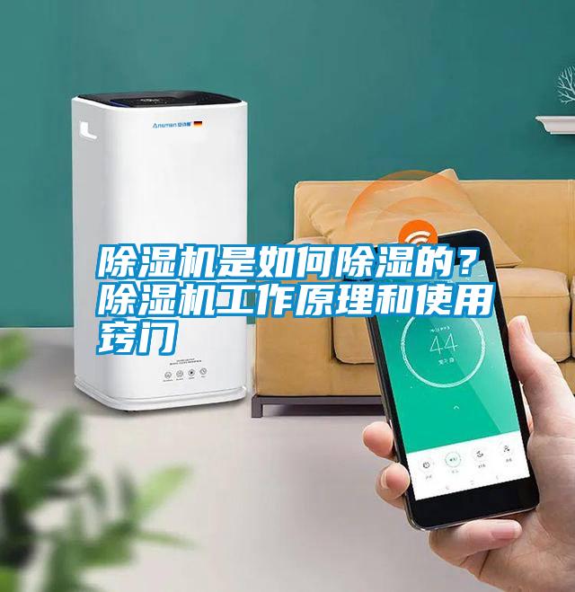 除濕機(jī)是如何除濕的？除濕機(jī)工作原理和使用竅門