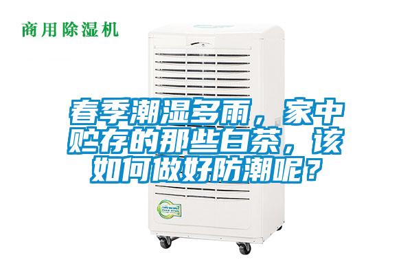 春季潮濕多雨，家中貯存的那些白茶，該如何做好防潮呢？