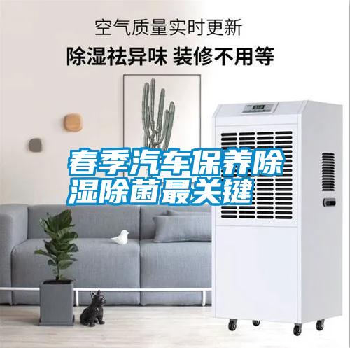 春季汽車保養(yǎng)除濕除菌最關鍵