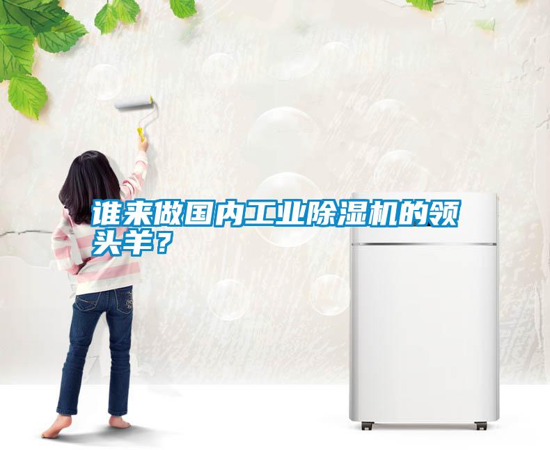 誰來做國內(nèi)工業(yè)除濕機(jī)的領(lǐng)頭羊？