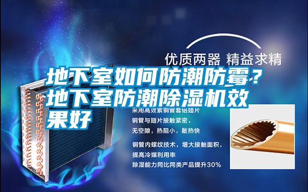 地下室如何防潮防霉？地下室防潮除濕機效果好
