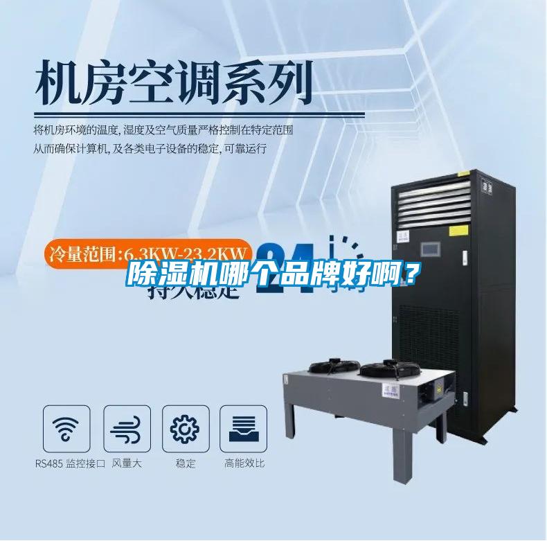 除濕機(jī)哪個(gè)品牌好??？