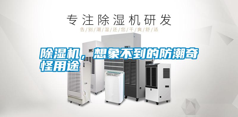 除濕機(jī)，想象不到的防潮奇怪用途
