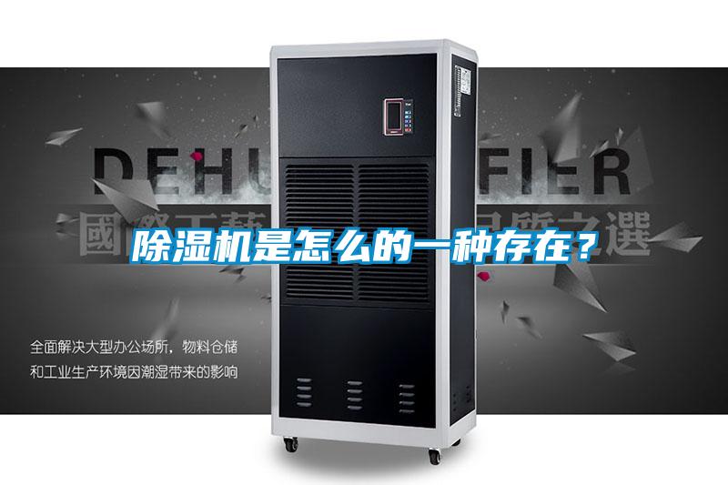 除濕機(jī)是怎么的一種存在？