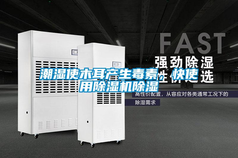 潮濕使木耳產(chǎn)生毒素，快使用除濕機(jī)除濕