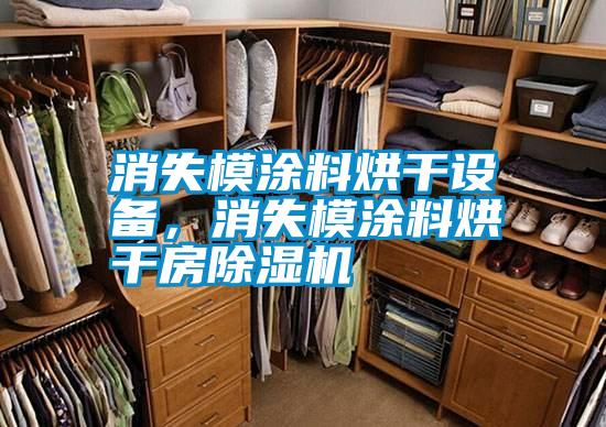 消失模涂料烘干設(shè)備，消失模涂料烘干房除濕機