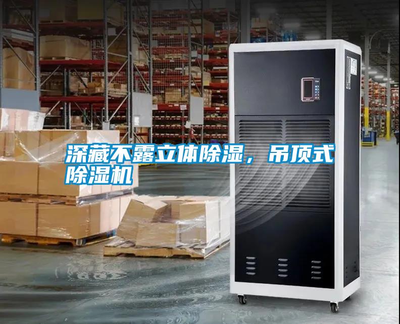 深藏不露立體除濕，吊頂式除濕機(jī)