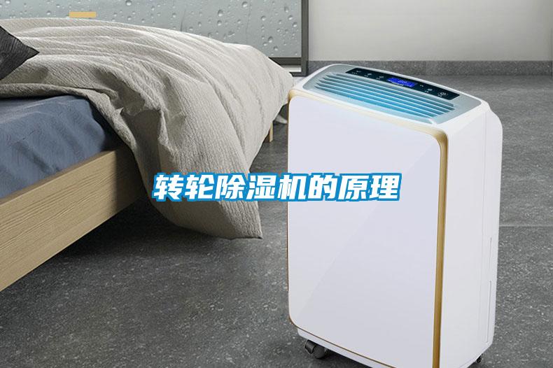 轉(zhuǎn)輪除濕機的原理