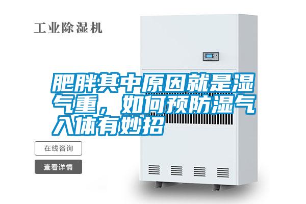 肥胖其中原因就是濕氣重，如何預(yù)防濕氣入體有妙招