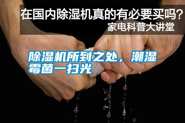除濕機所到之處，潮濕霉菌一掃光