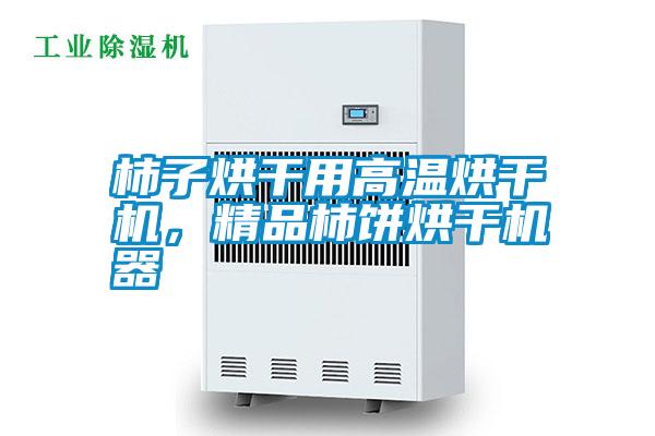 柿子烘干用高溫烘干機(jī)，精品柿餅烘干機(jī)器