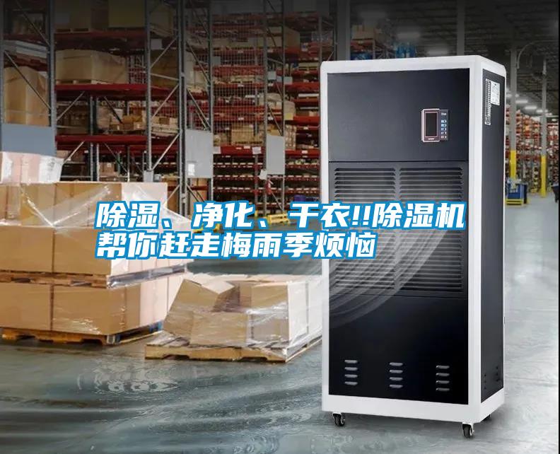除濕、凈化、干衣!!除濕機(jī)幫你趕走梅雨季煩惱