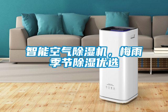 智能空氣除濕機(jī)，梅雨季節(jié)除濕優(yōu)選