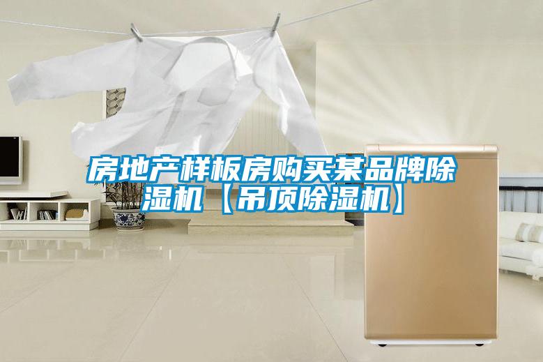 房地產(chǎn)樣板房購買某品牌除濕機(jī)【吊頂除濕機(jī)】