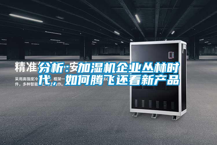 分析：加濕機(jī)企業(yè)叢林時(shí)代，如何騰飛還看新產(chǎn)品