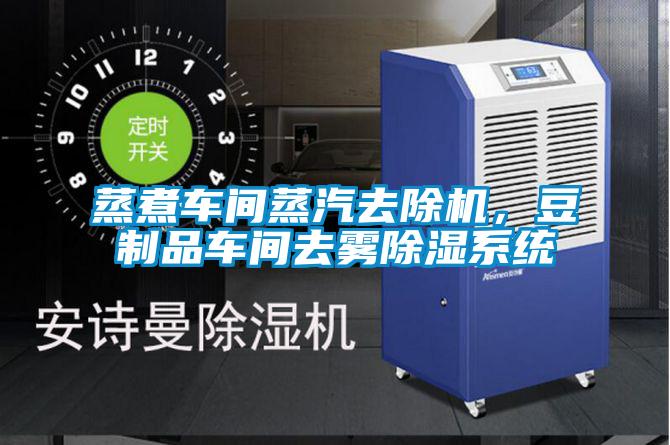 蒸煮車間蒸汽去除機(jī)，豆制品車間去霧除濕系統(tǒng)
