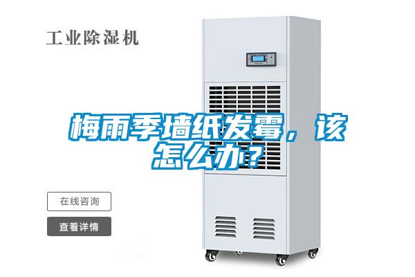 梅雨季墻紙發(fā)霉，該怎么辦？
