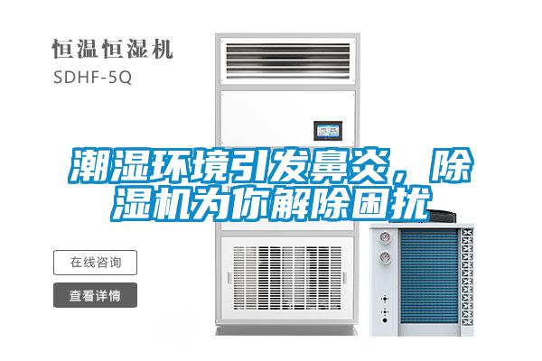 潮濕環(huán)境引發(fā)鼻炎，除濕機為你解除困擾