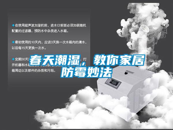 春天潮濕，教你家居防霉妙法