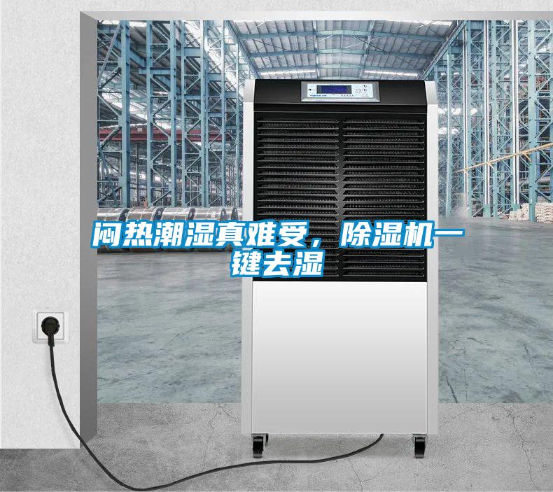 悶熱潮濕真難受，除濕機一鍵去濕