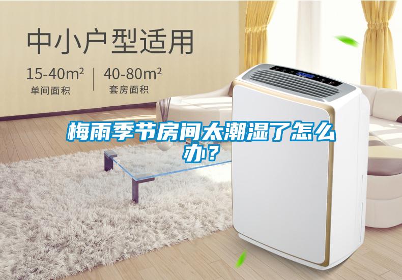 梅雨季節(jié)房間太潮濕了怎么辦？