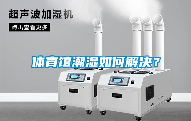 體育館潮濕如何解決？