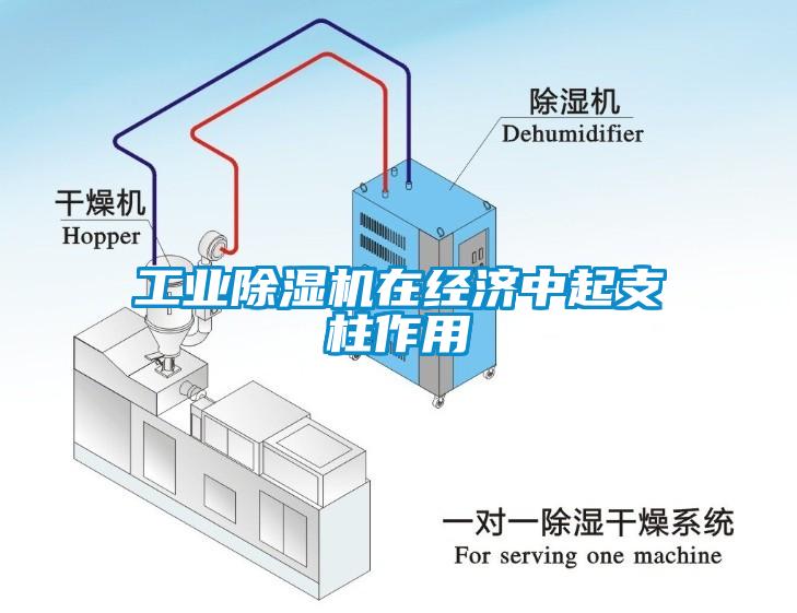 工業(yè)除濕機在經(jīng)濟中起支柱作用