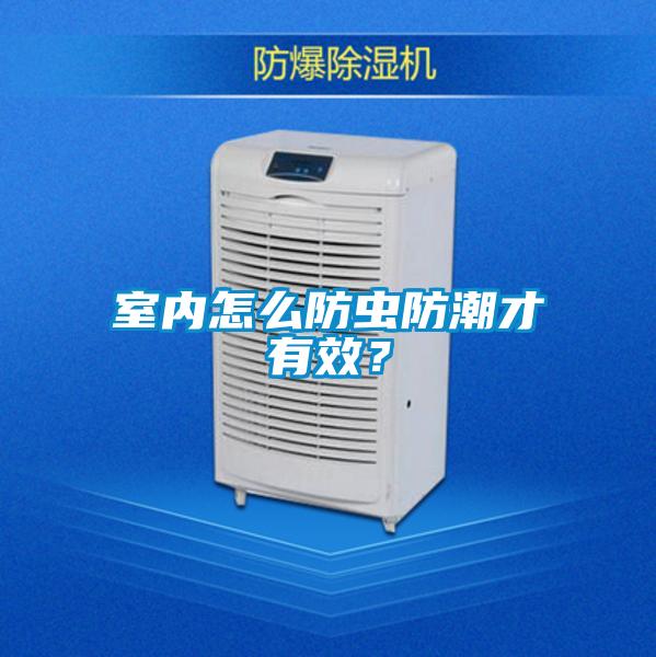 室內(nèi)怎么防蟲防潮才有效？
