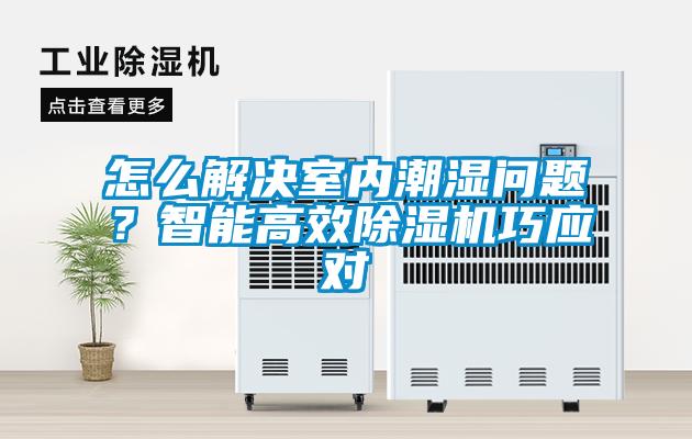 怎么解決室內(nèi)潮濕問題？智能高效除濕機(jī)巧應(yīng)對(duì)