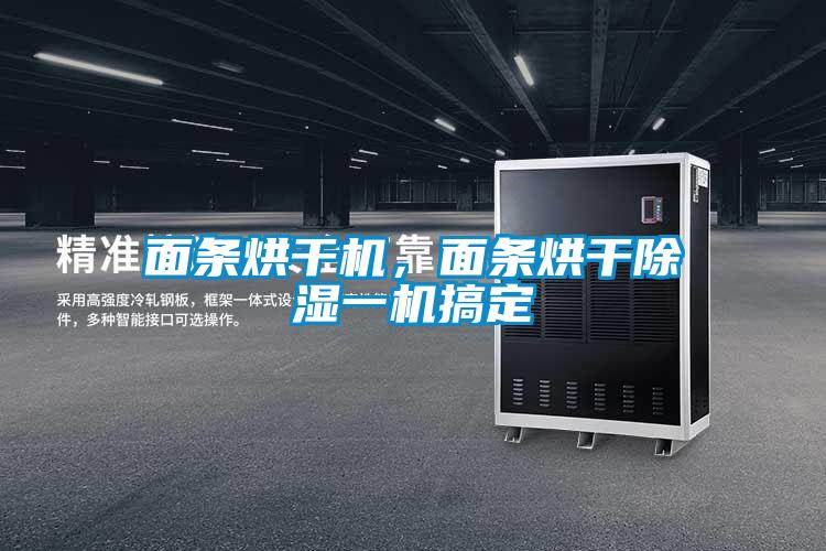 面條烘干機(jī)，面條烘干除濕一機(jī)搞定