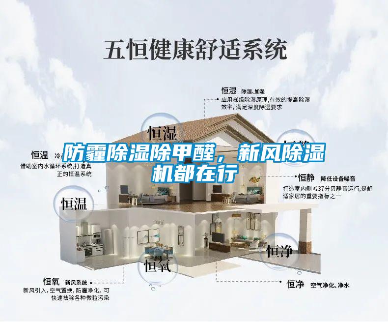 防霾除濕除甲醛，新風除濕機都在行