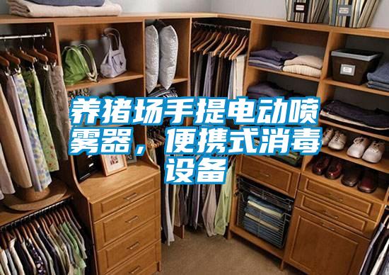 養(yǎng)豬場手提電動噴霧器，便攜式消毒設(shè)備