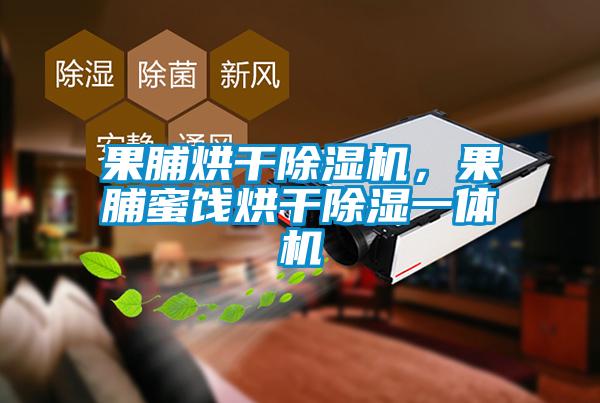 果脯烘干除濕機，果脯蜜餞烘干除濕一體機