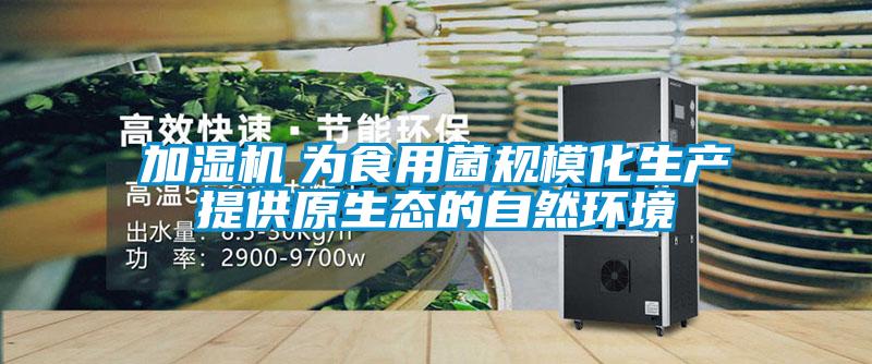 加濕機(jī)　為食用菌規(guī)?；a(chǎn)提供原生態(tài)的自然環(huán)境