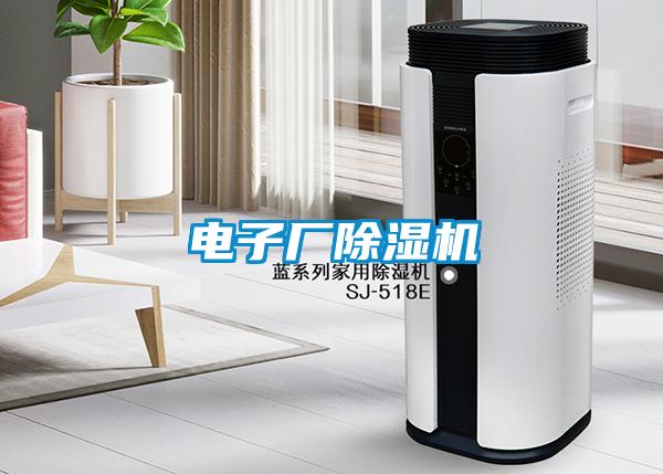電子廠除濕機(jī)