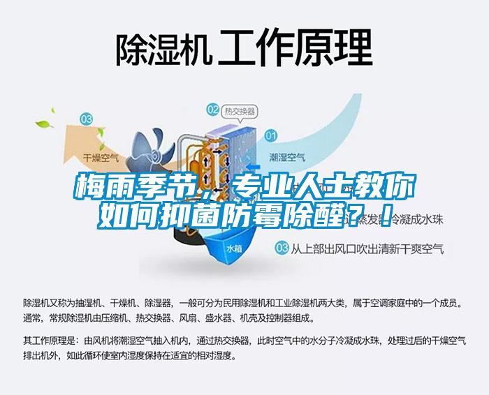 梅雨季節(jié)，專業(yè)人士教你如何抑菌防霉除醛？！