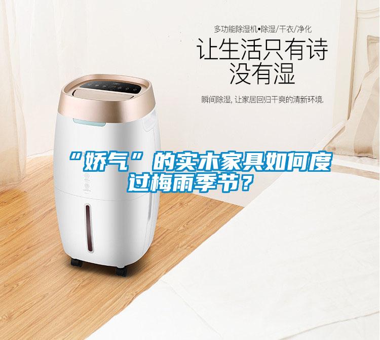 “嬌氣”的實(shí)木家具如何度過梅雨季節(jié)？