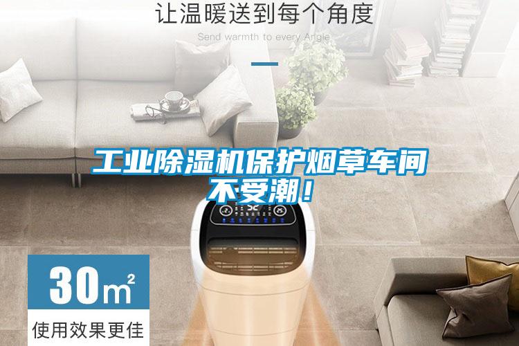 工業(yè)除濕機(jī)保護(hù)煙草車間不受潮！