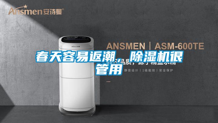 春天容易返潮，除濕機很管用