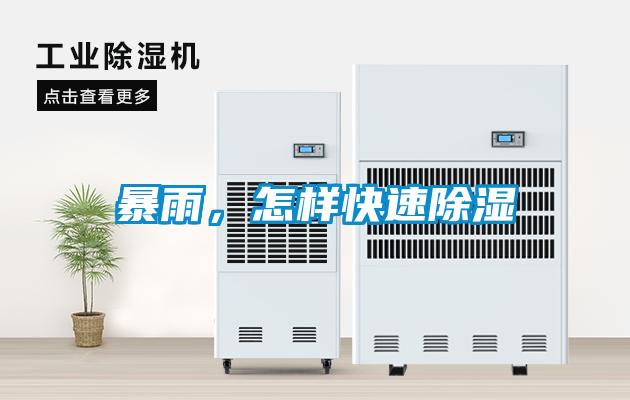 暴雨，怎樣快速除濕
