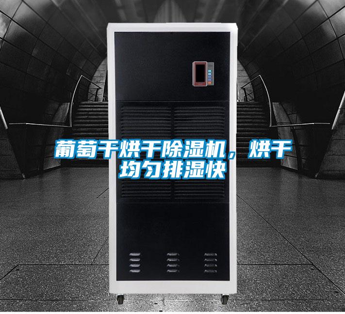 葡萄干烘干除濕機(jī)，烘干均勻排濕快