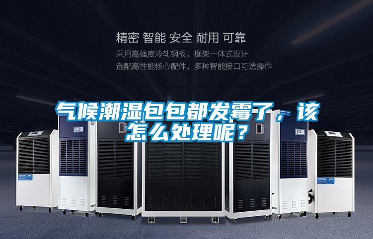 氣候潮濕包包都發(fā)霉了，該怎么處理呢？