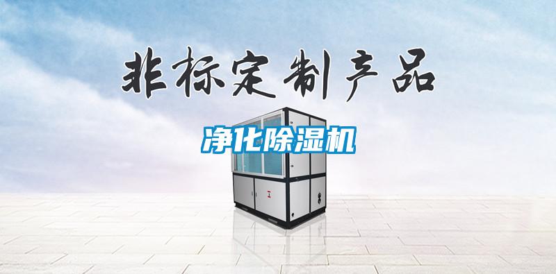 凈化除濕機(jī)