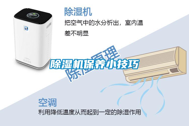 除濕機(jī)保養(yǎng)小技巧