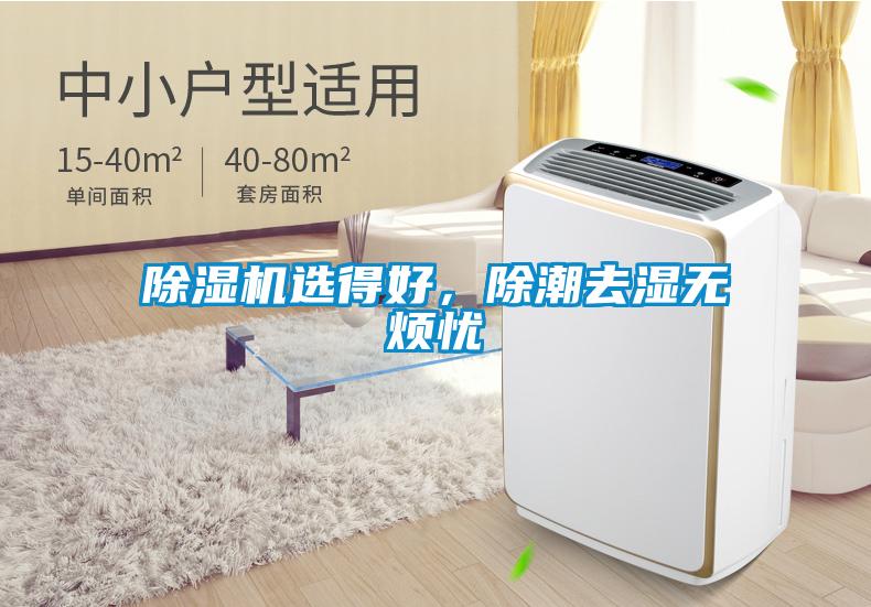 除濕機選得好，除潮去濕無煩憂