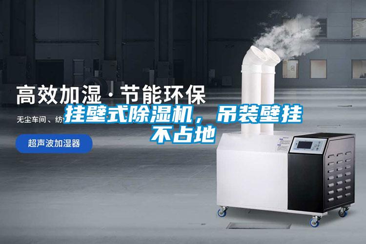 掛壁式除濕機(jī)，吊裝壁掛不占地