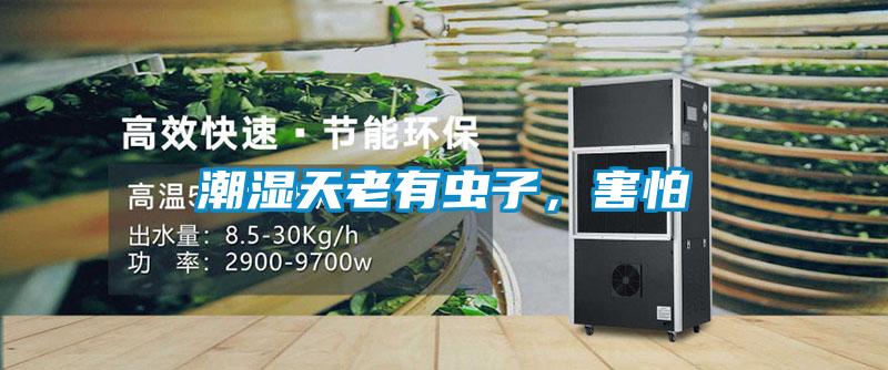 潮濕天老有蟲子，害怕