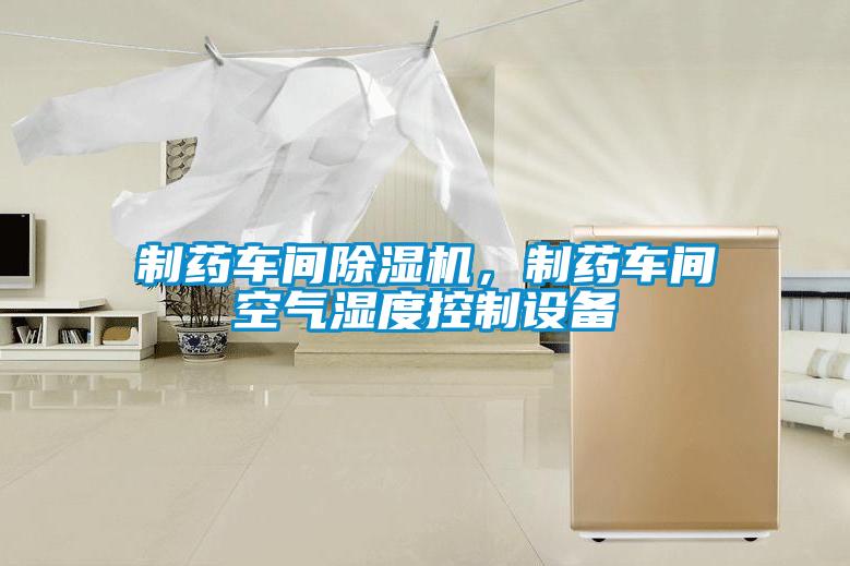 制藥車間除濕機(jī)，制藥車間空氣濕度控制設(shè)備