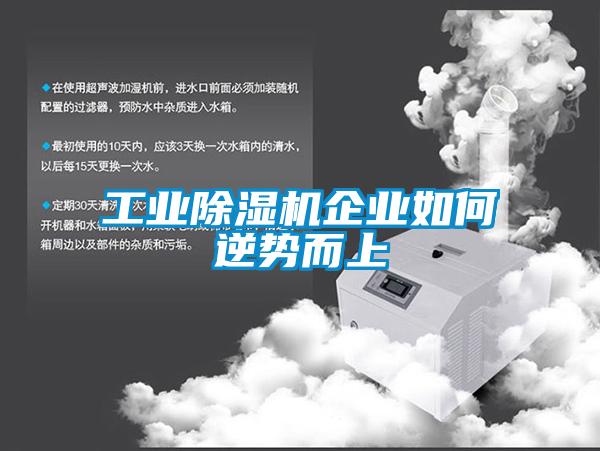 工業(yè)除濕機(jī)企業(yè)如何逆勢(shì)而上