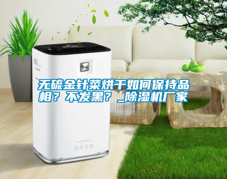 無硫金針菜烘干如何保持品相？不發(fā)黑？_除濕機(jī)廠家